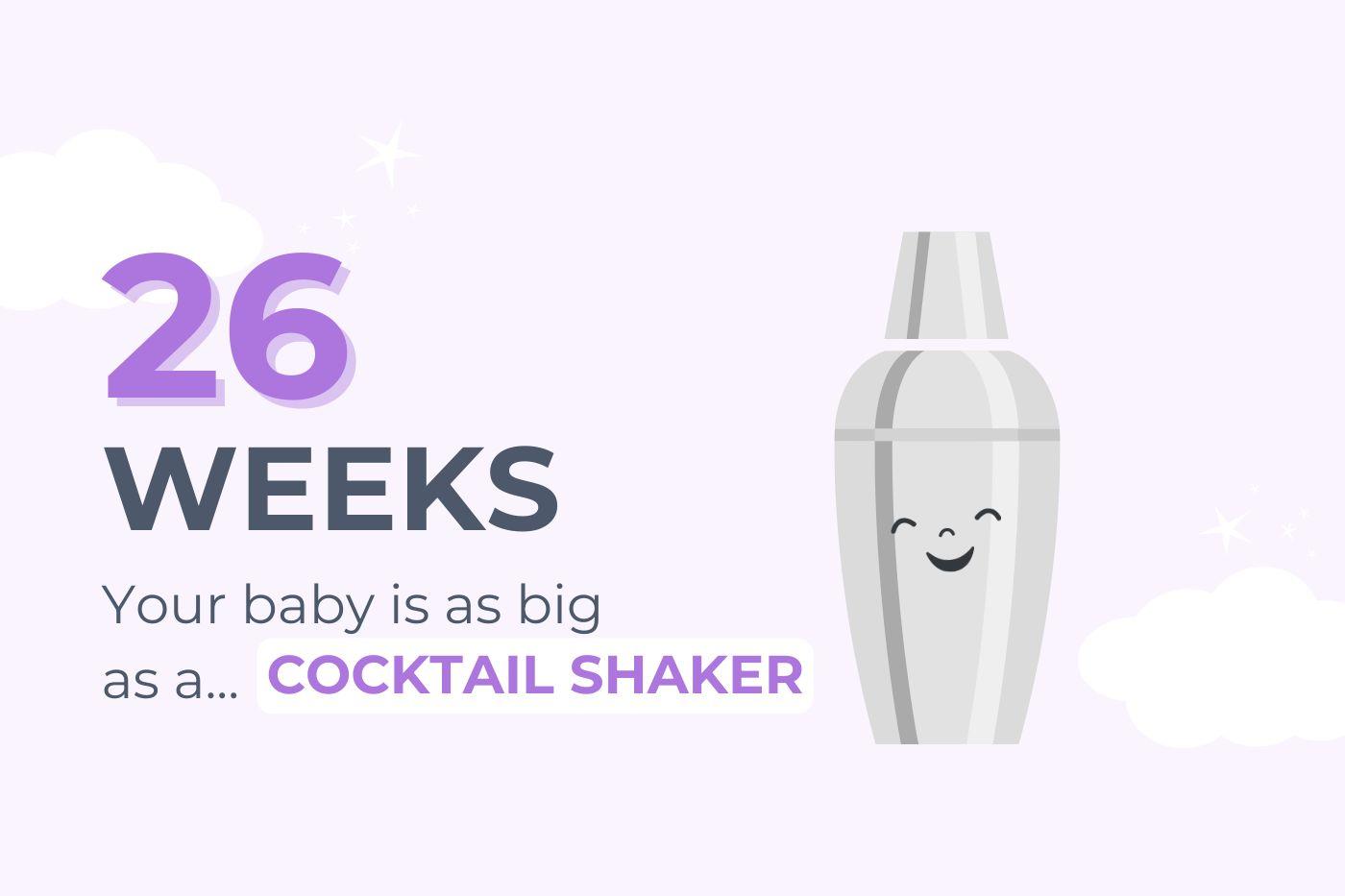 26 Weeks Pregnant: Your baby is as big as a cocktail shaker