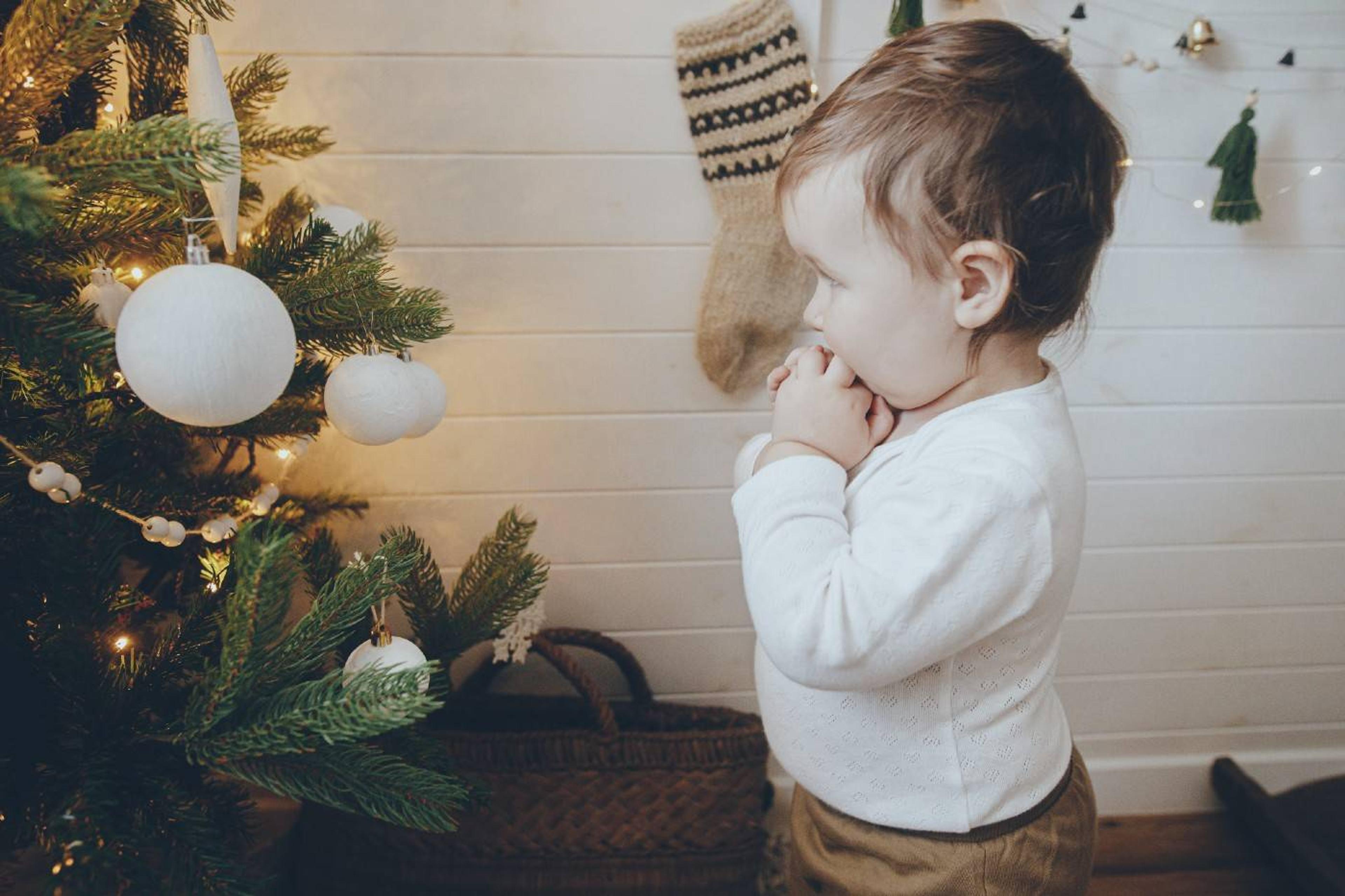 Toddler looking at Christmas tree