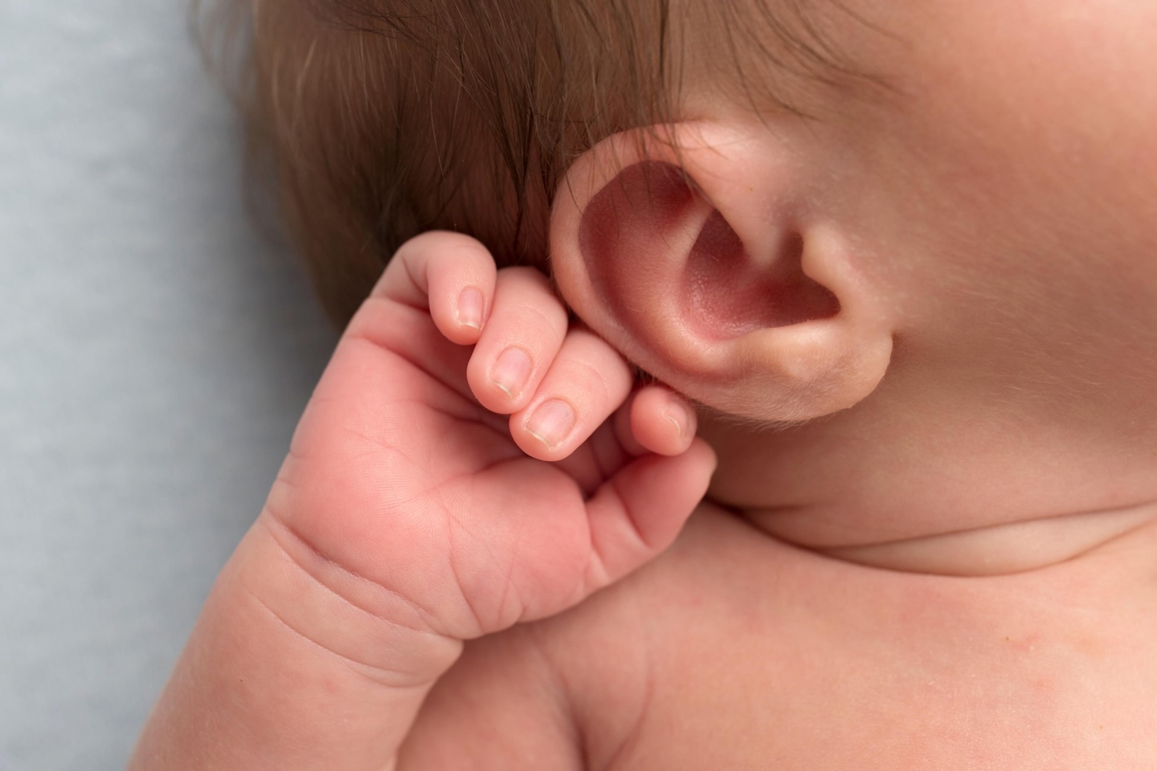 A newborn baby's ear