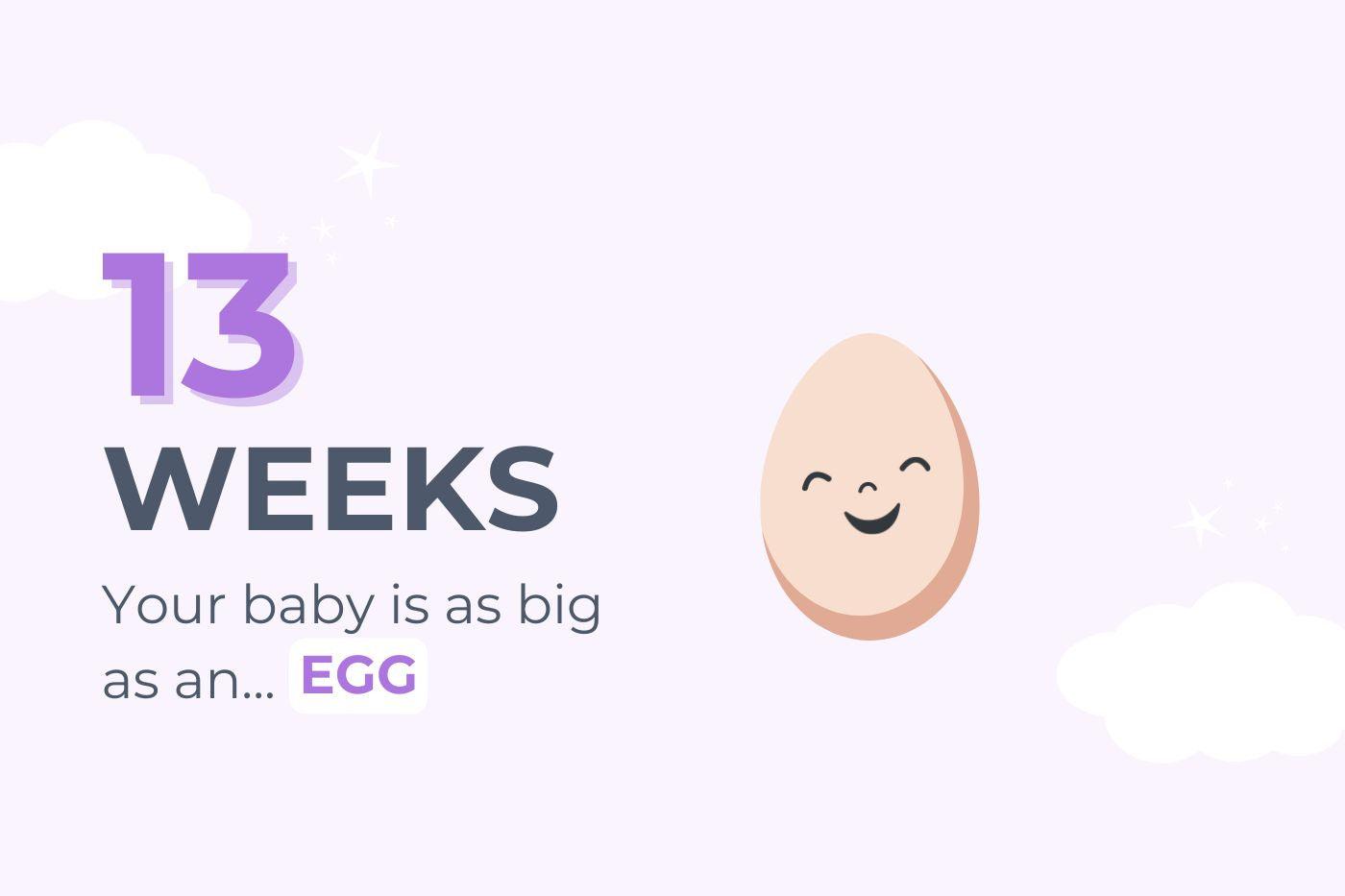 Graphic that says 13 Weeks Pregnant: Your bay is as big as an egg
