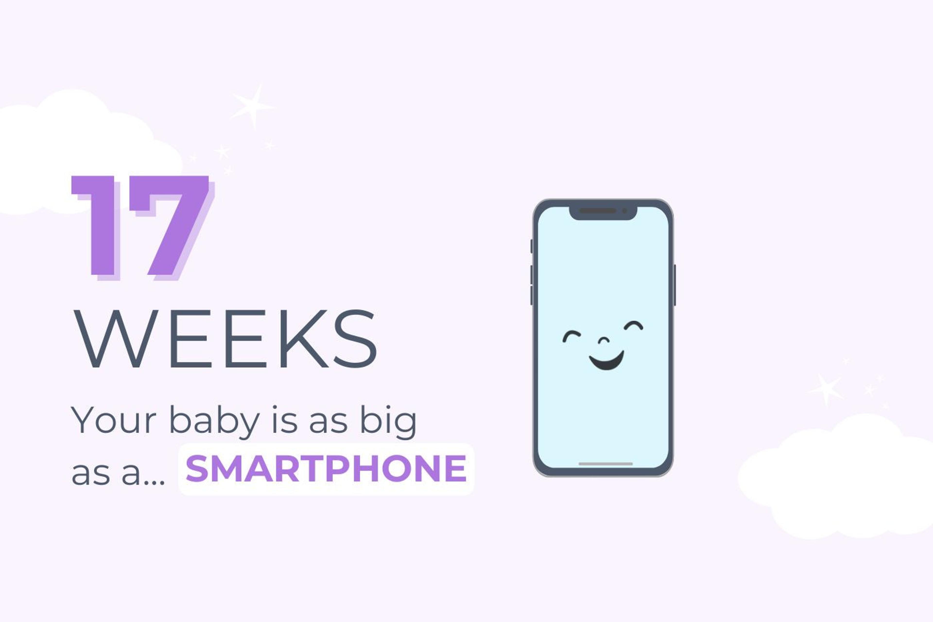 17-weeks-pregnant-your-baby-is-as-big-as-a-smart-phone