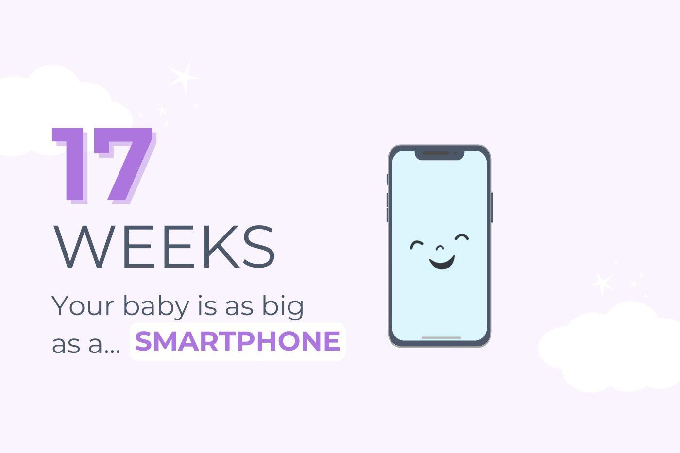 17-weeks-pregnant-your-baby-is-as-big-as-a-smart-phone