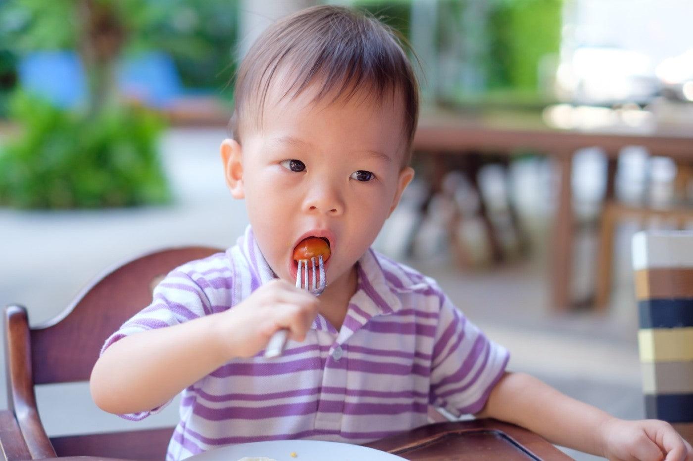 A 19-month-old toddler tries to feed himself with a fork