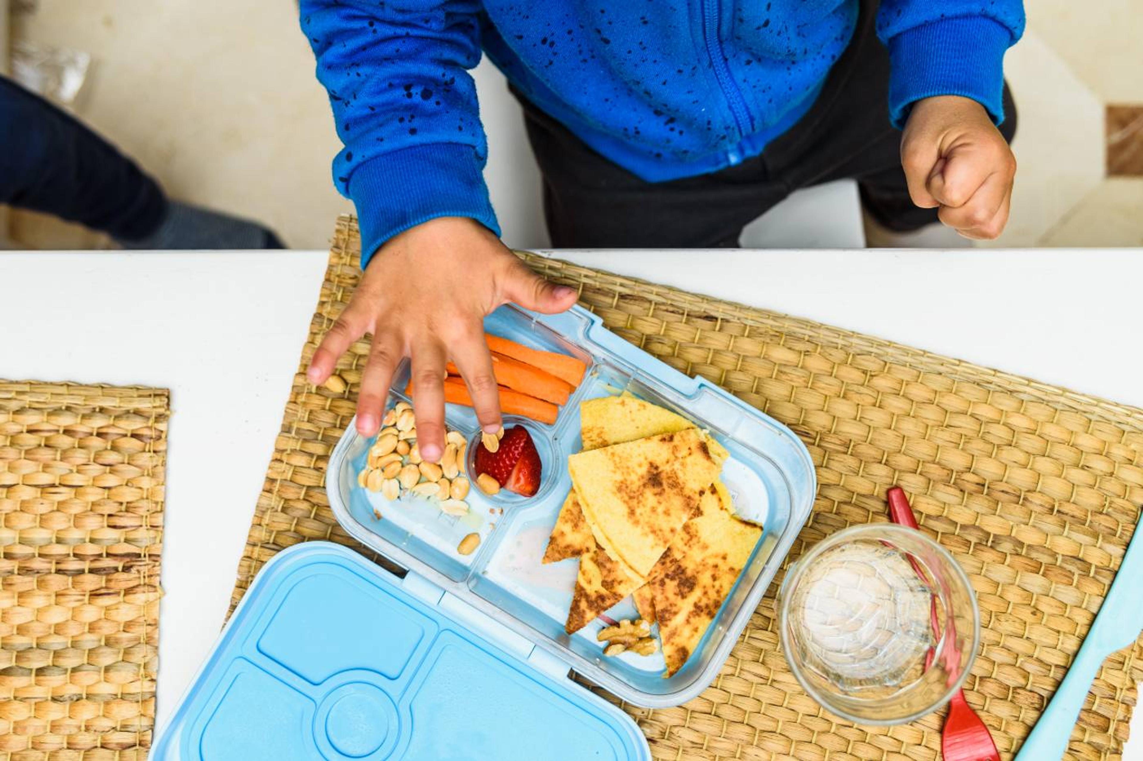 Toddler eating a bento box lunch