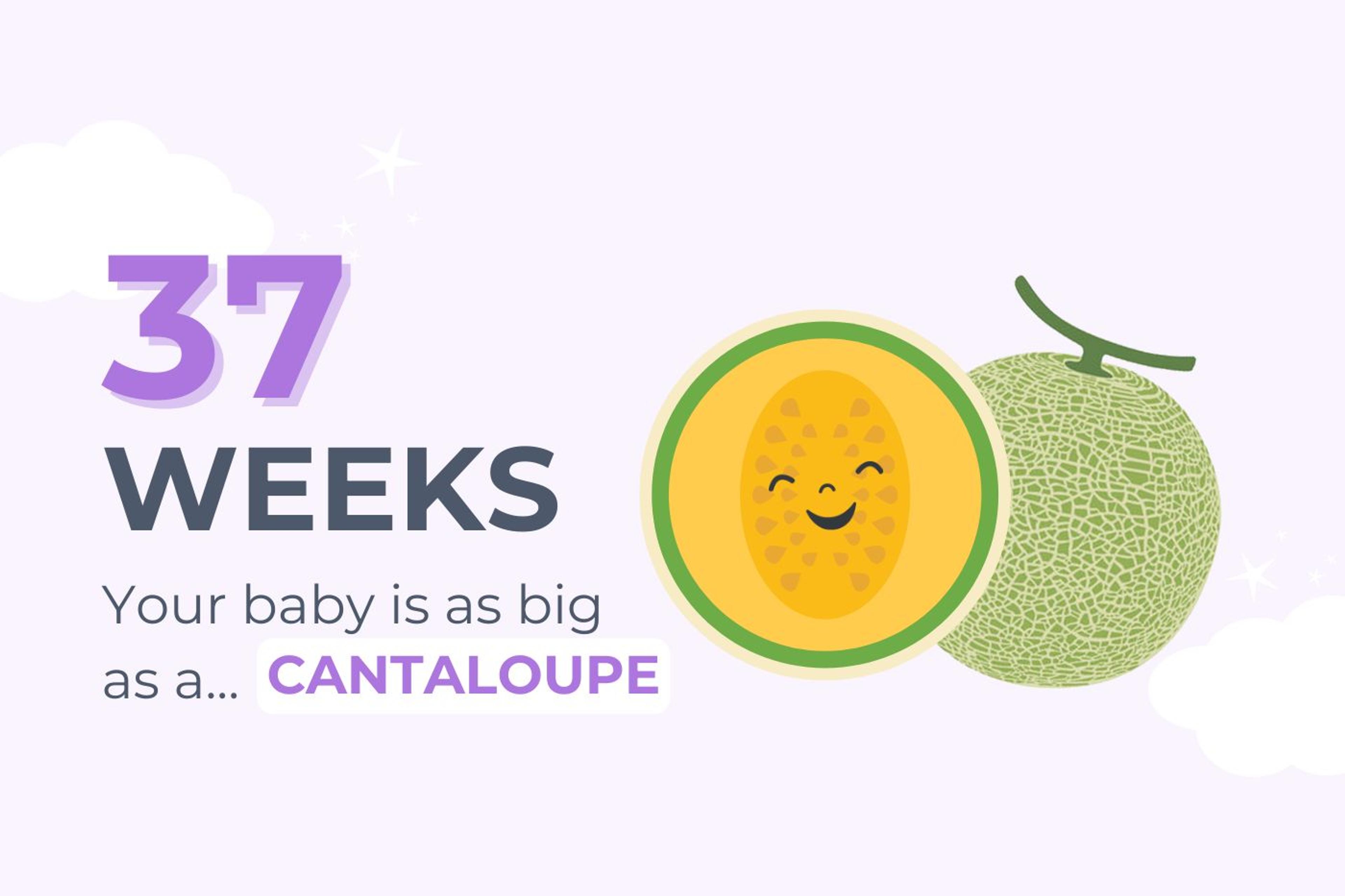 37 Weeks Pregnant: Your baby is as big as a cantaloupe