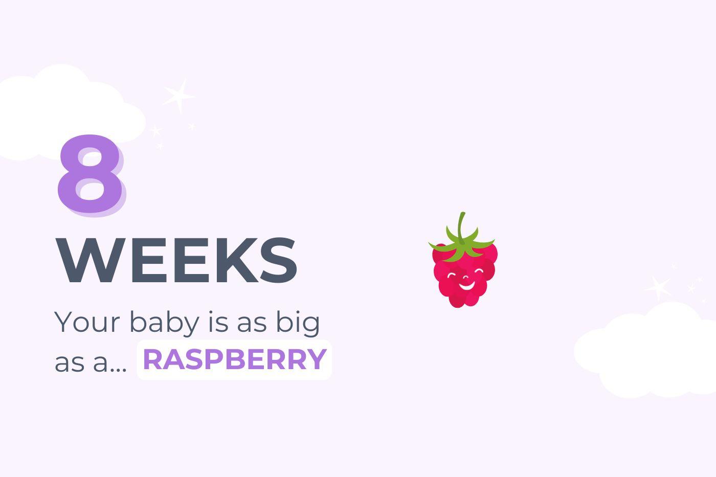 8-weeks-pregnant-your-baby-is-as-big-as-a-raspberry