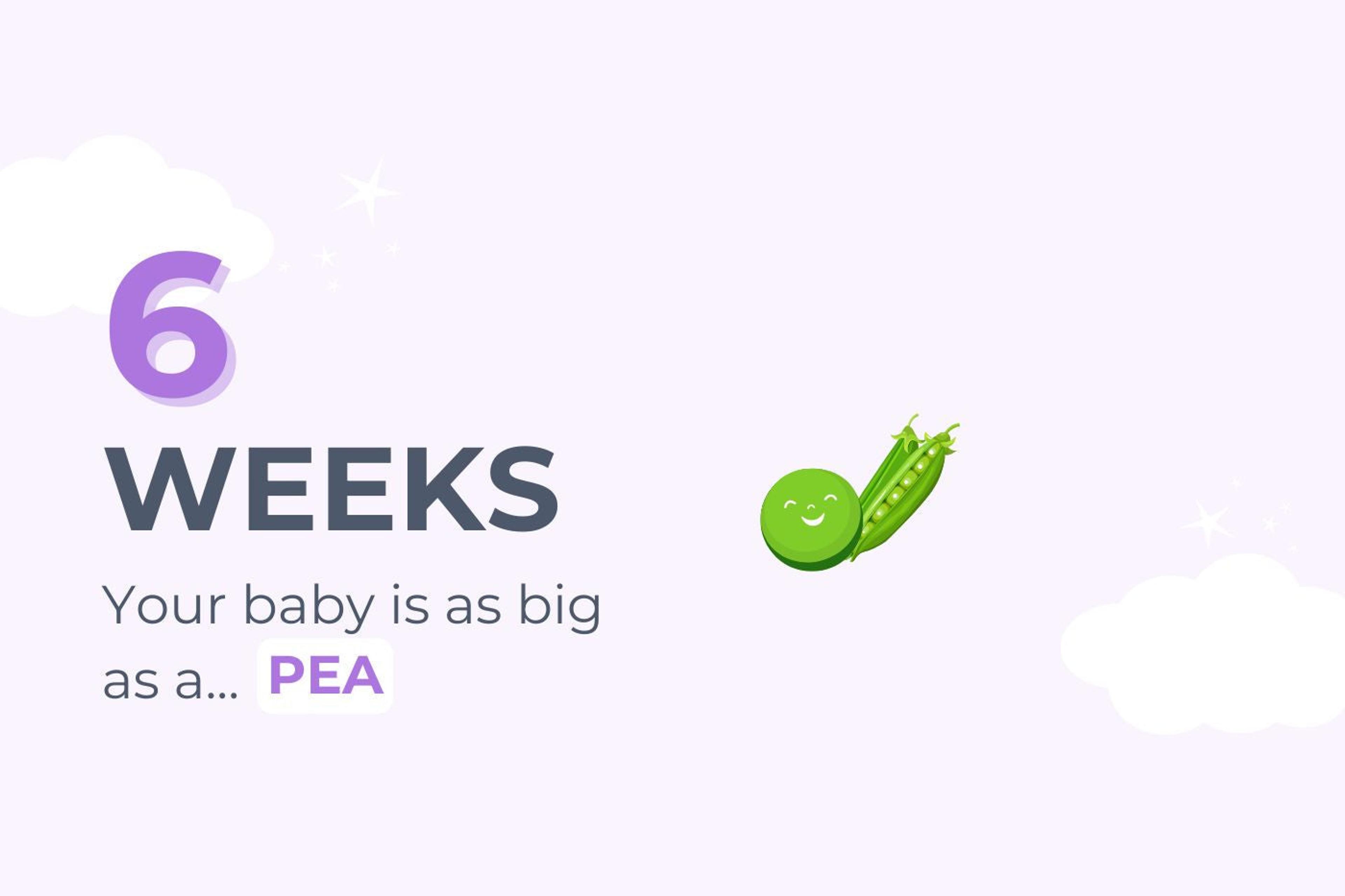 6 weeks pregnant: Your baby is as big as a pea