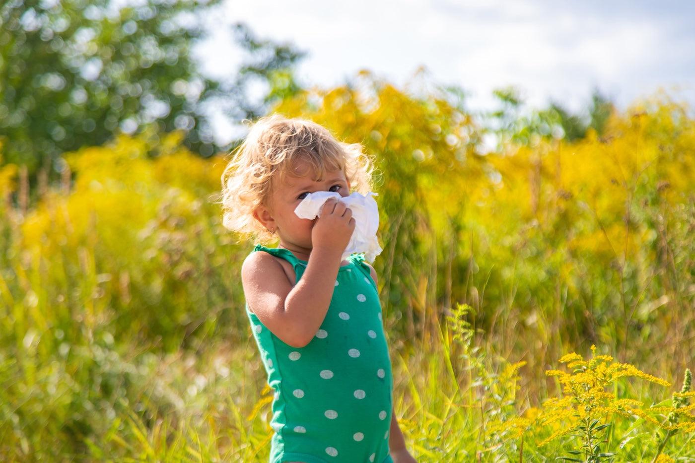 A toddler suffering from seasonal allergies wipes her nose with a tissue while standing in a field