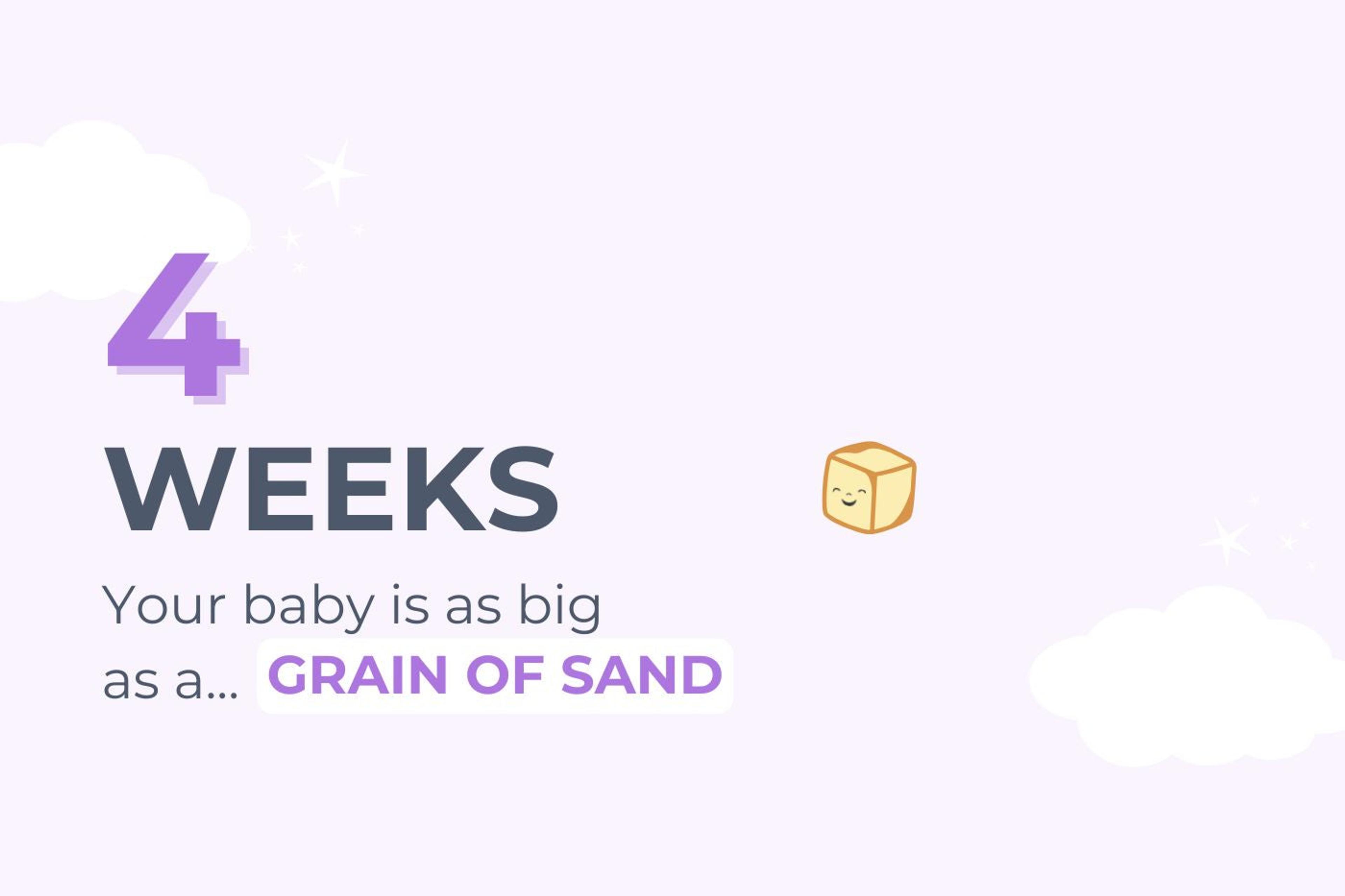 Graphich that says 4 weeks pregnant: Your baby is as big as a grain of sand