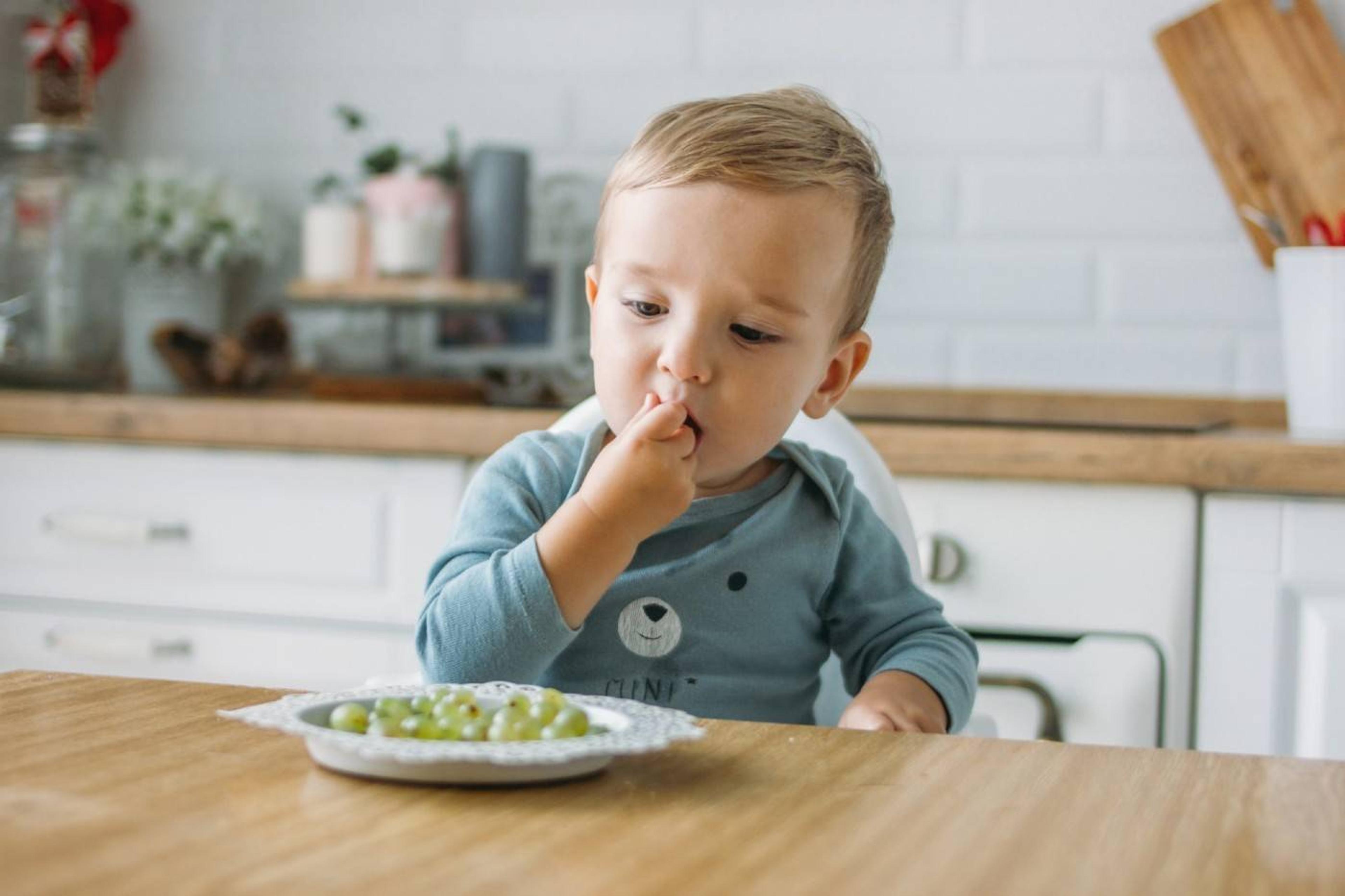 Toddler snacking on whole grapes, a choking hazard 