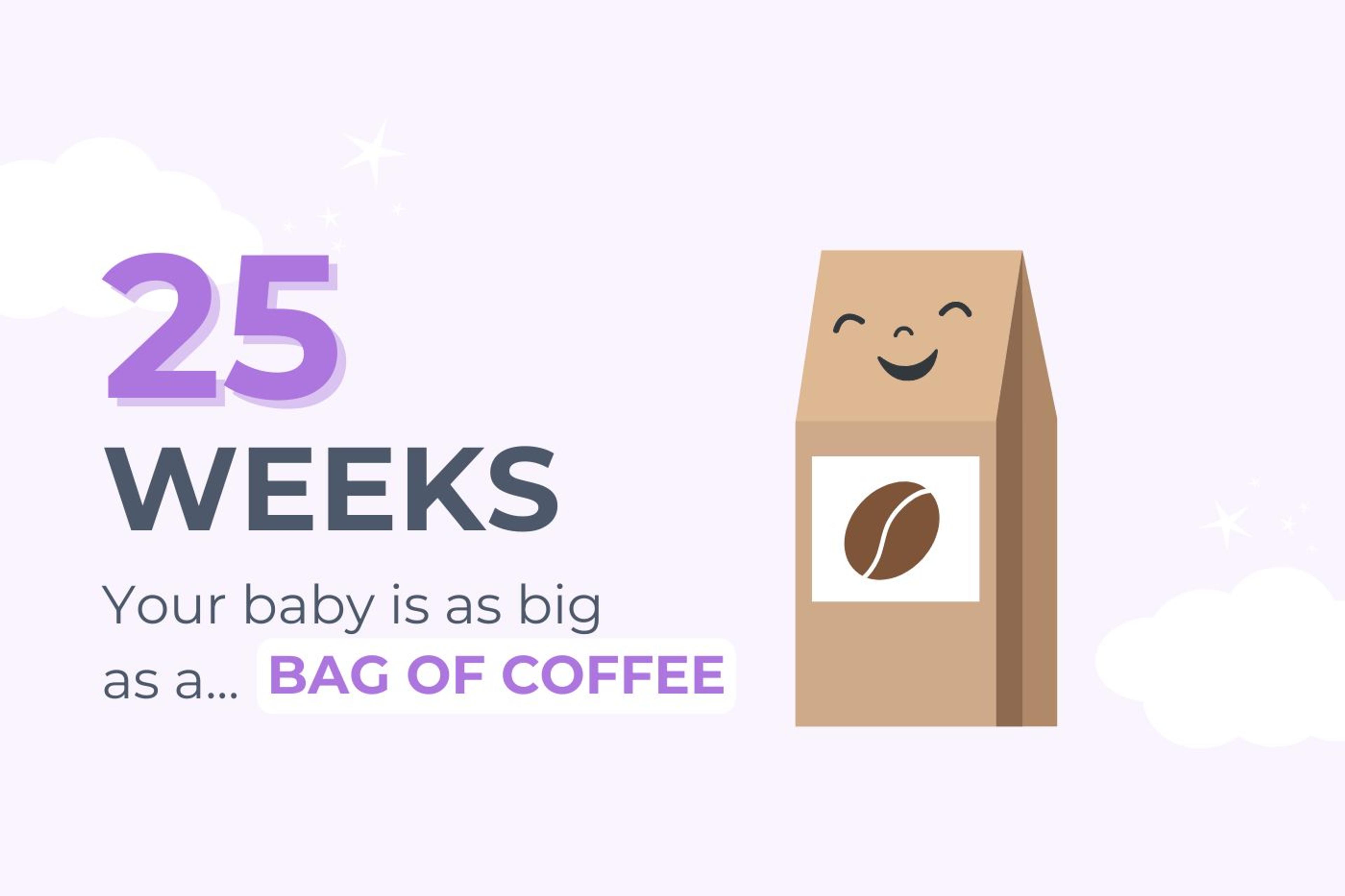 25 Weeks Pregnant: Your Baby is Size of a Bag of Coffee