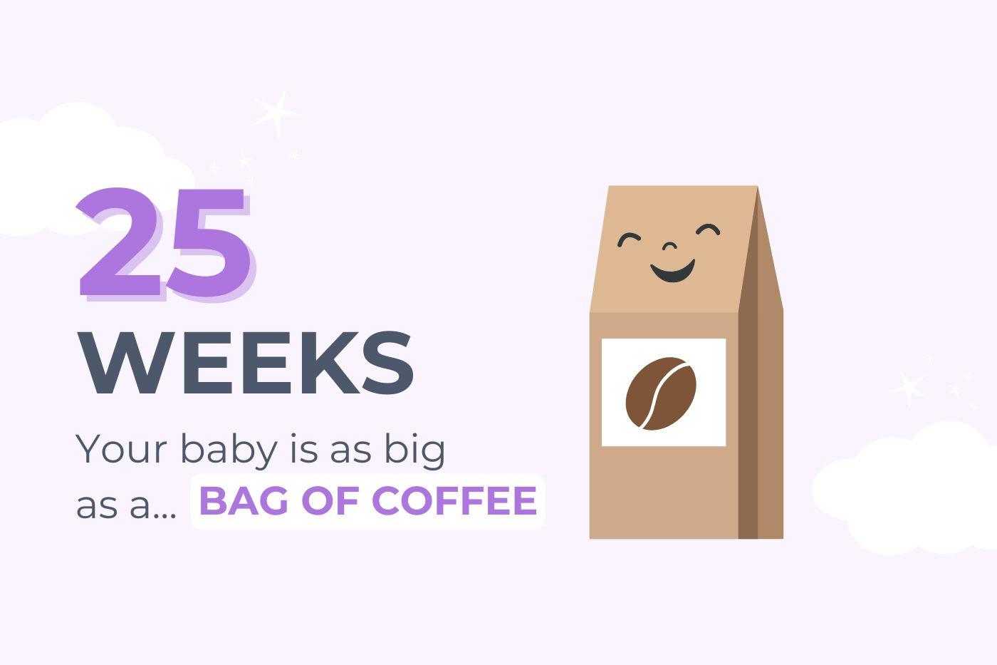 25 Weeks Pregnant: Your Baby is Size of a Bag of Coffee