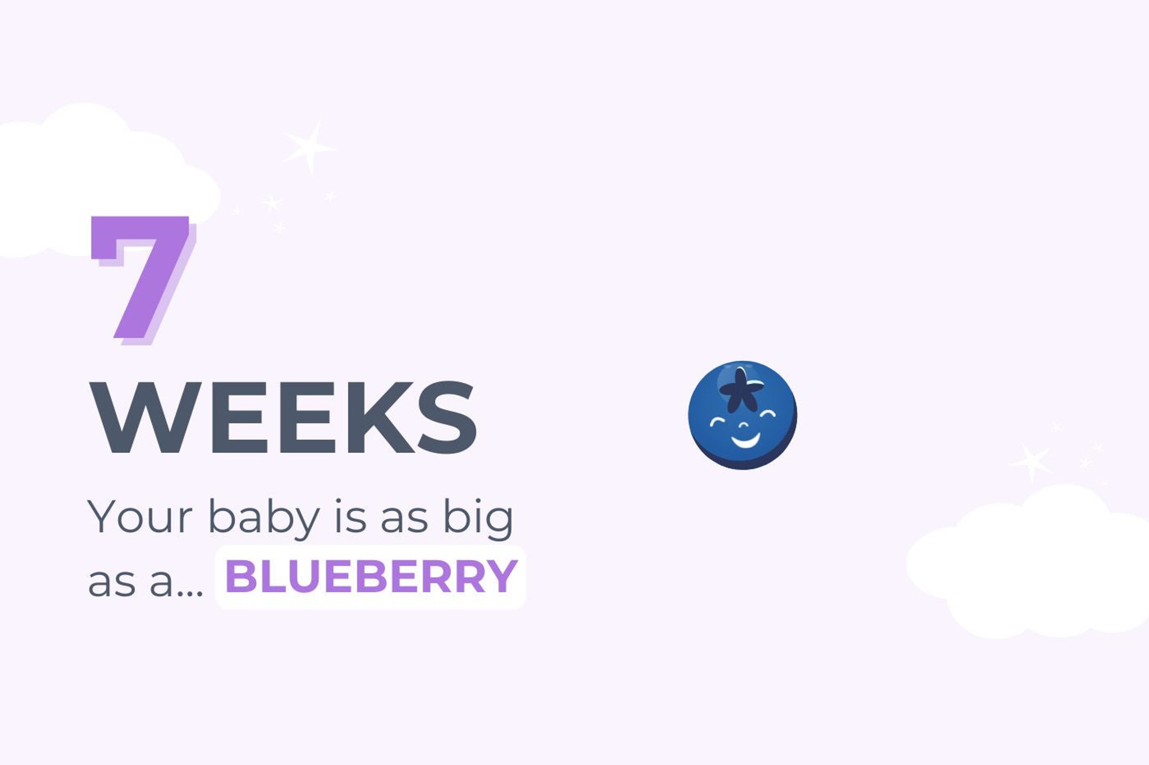 Graphic that says 7 Weeks Pregnant: Your baby is as big as a blueberry