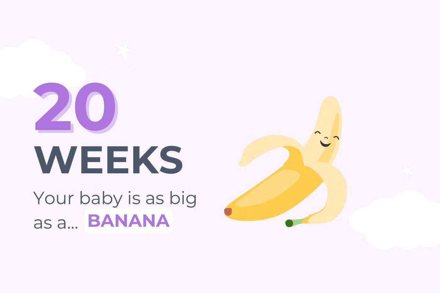 20-weeks-pregnant-your-baby-is-as-big-as-a-banana