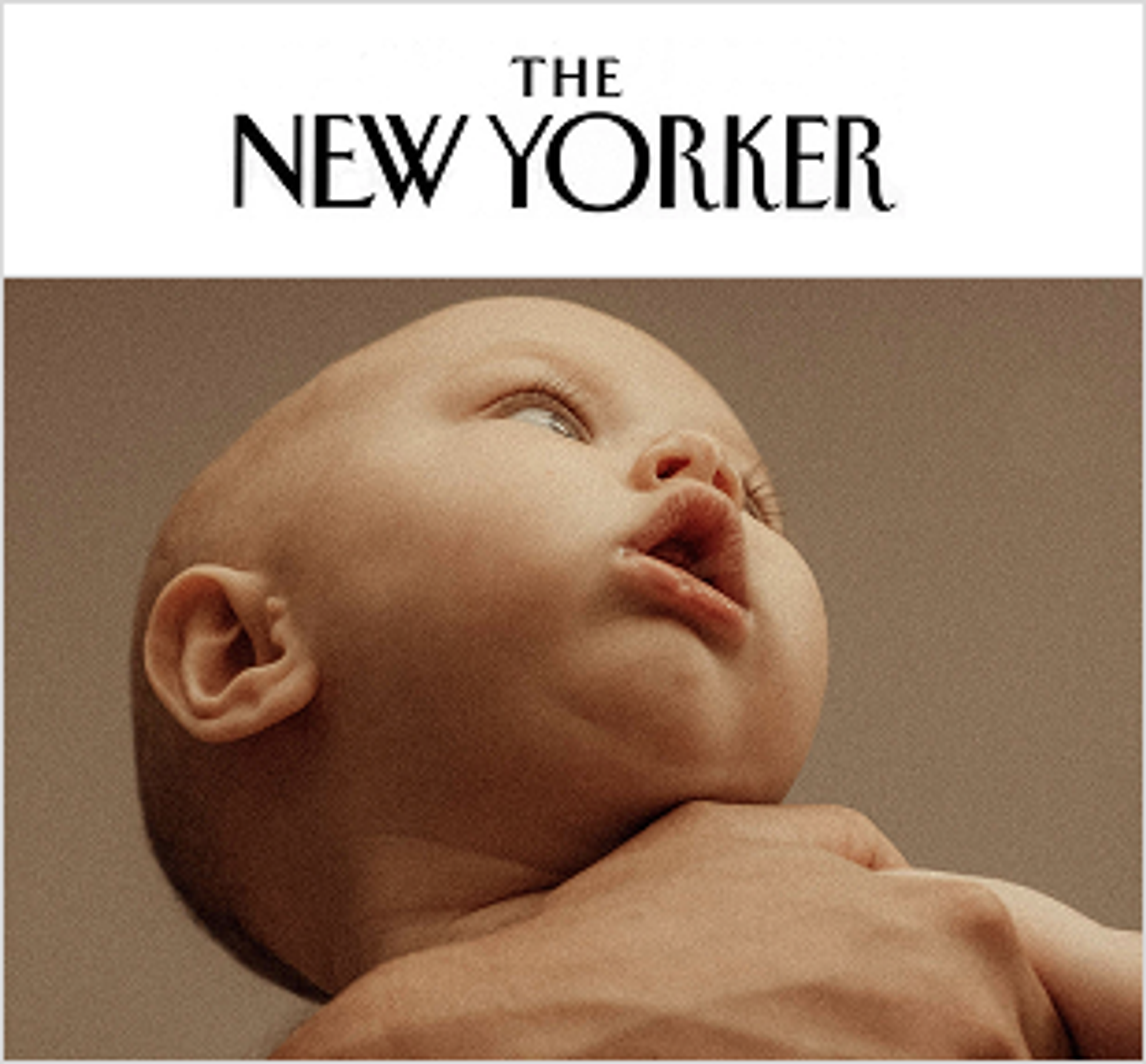 The New Yorker