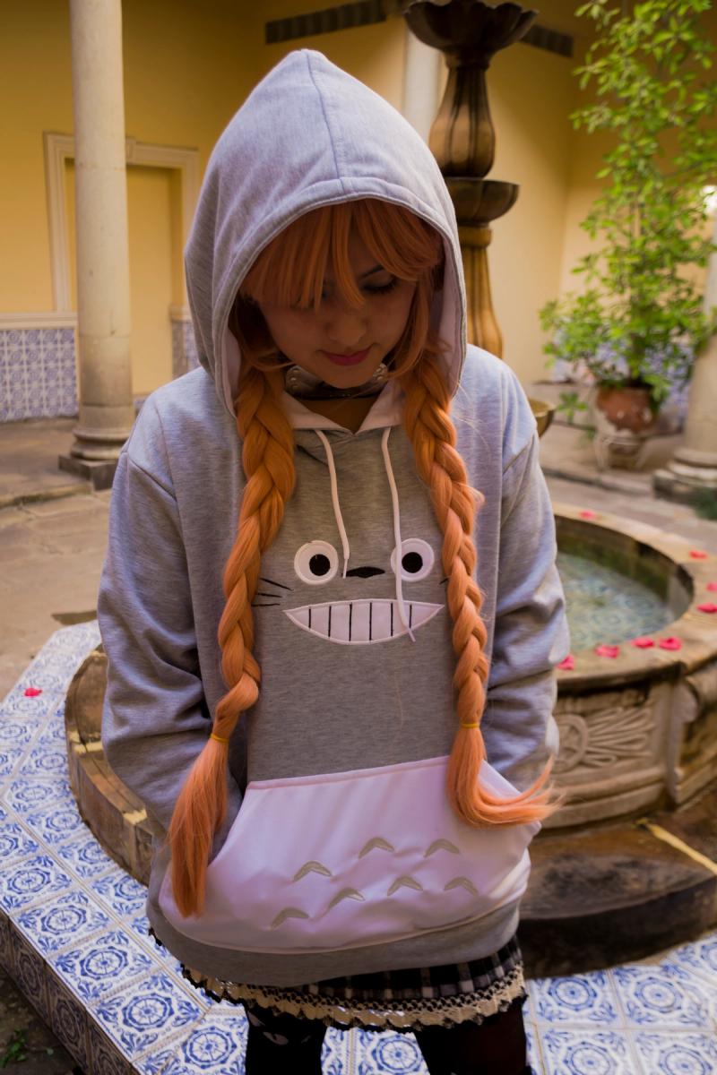 Mi Vecino Totoro.