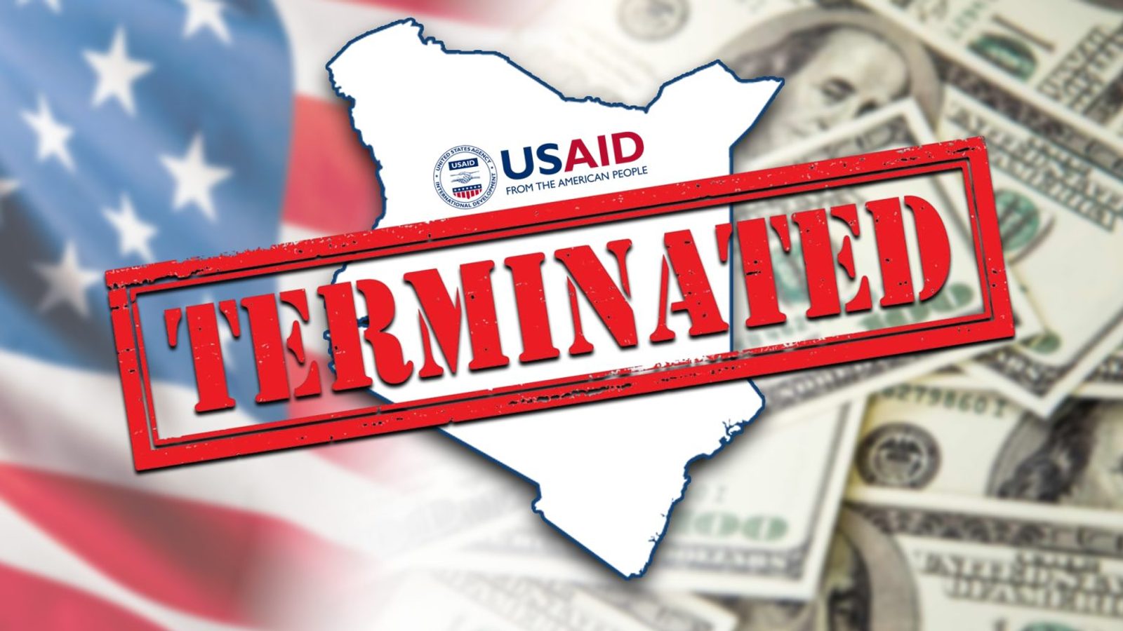 Terminating USAID: A Tragedy or a Cause for Celebration for Africa?