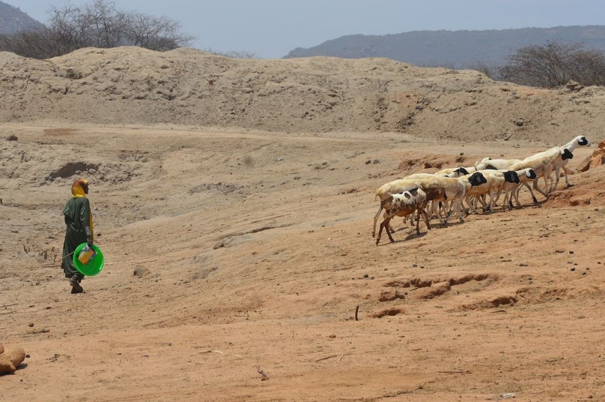 Financial Sector Development in Fragile and Conflict-Affected States