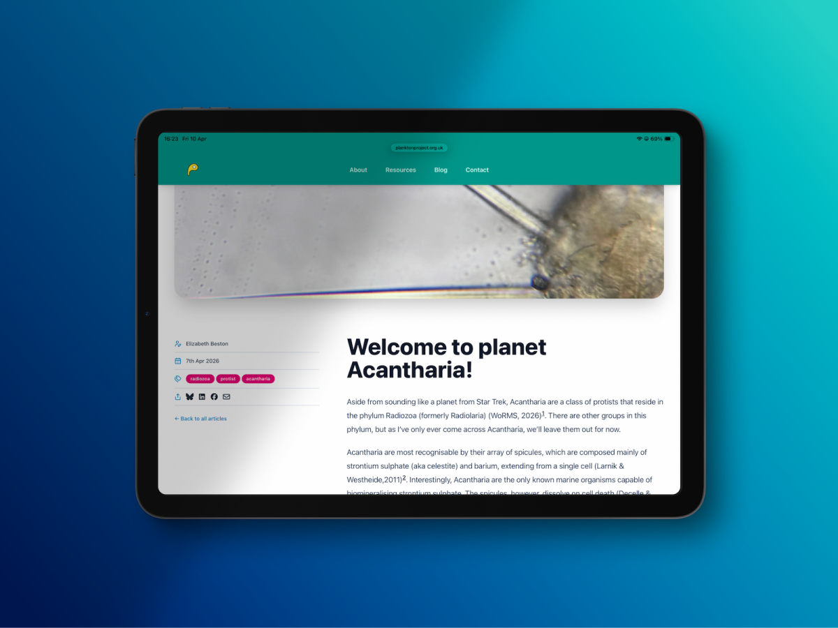 An image of the website on a tablet device showing a blog post