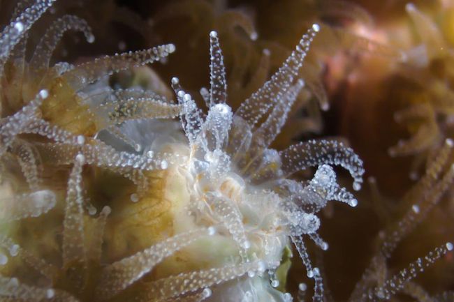 image-00df3c3a0ff39ba290d233f28252f47cb93876b0-1200x630-jpg