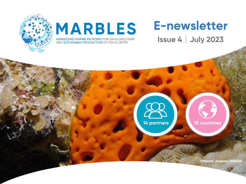 image-08e79d2c4860537bbc6319b4340d5583fe695fc8-800x600-png