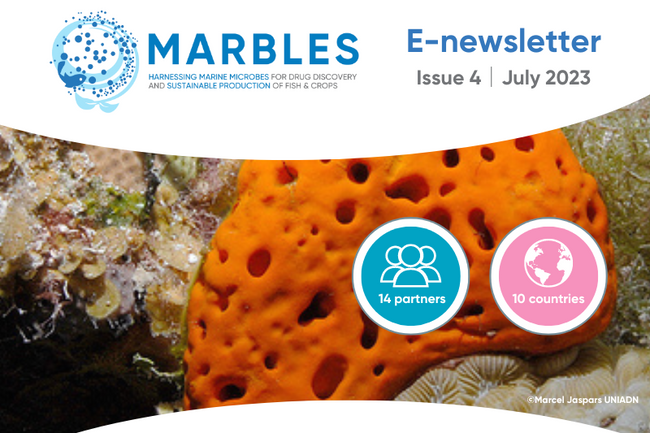 image-08e79d2c4860537bbc6319b4340d5583fe695fc8-800x600-png