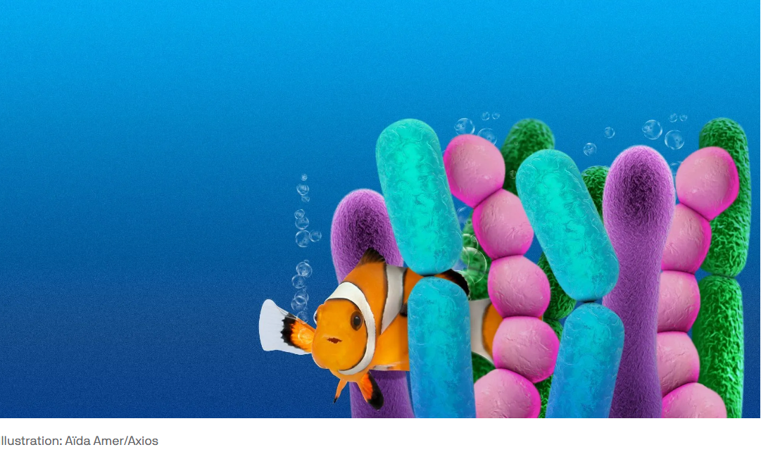 image-0f2e2a1353ff7488b3b7bd09a858709ac046fa5b-1081x642-png