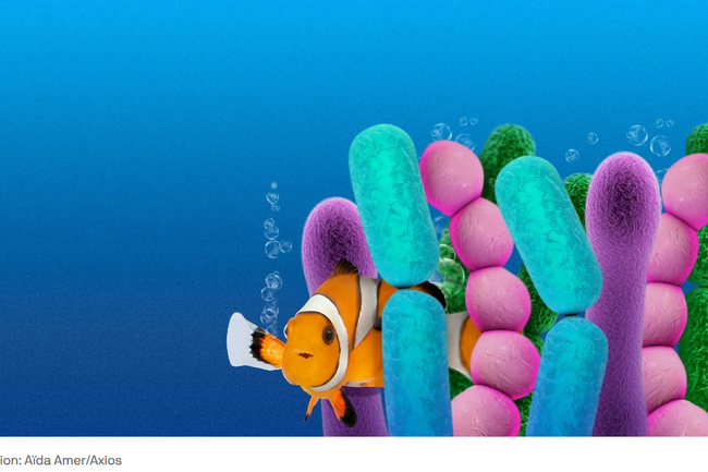 image-0f2e2a1353ff7488b3b7bd09a858709ac046fa5b-1081x642-png