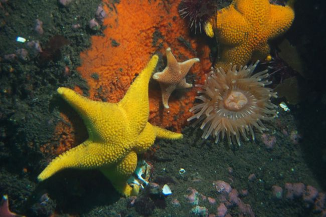 image-17d46b1cbdf4f7b338798d28e47a3fbf9646fe9f-1200x630-jpg