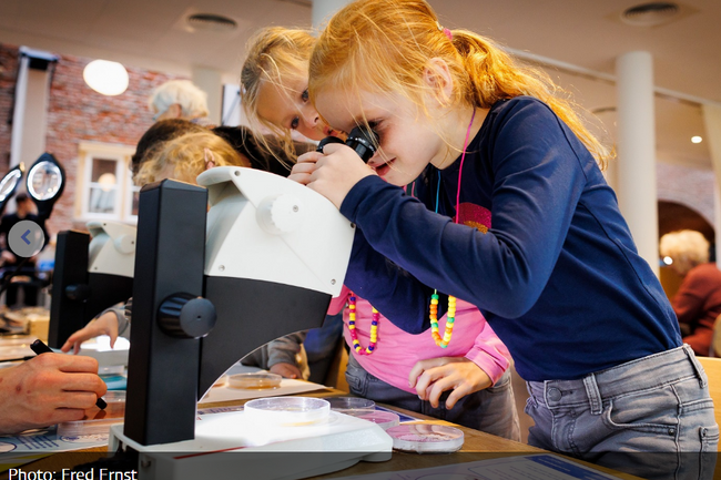 image-1b32274dbf085e41bc2e61c3afcd3ec159088e23-970x677-png