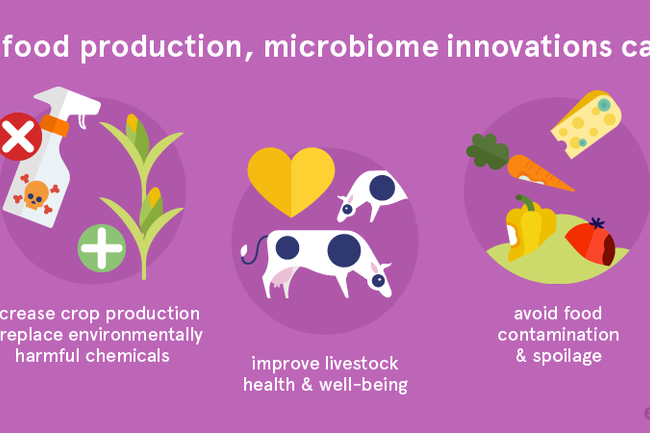 image-200fd1b17a5187f303821421c4af5039d1adde5e-800x450-png