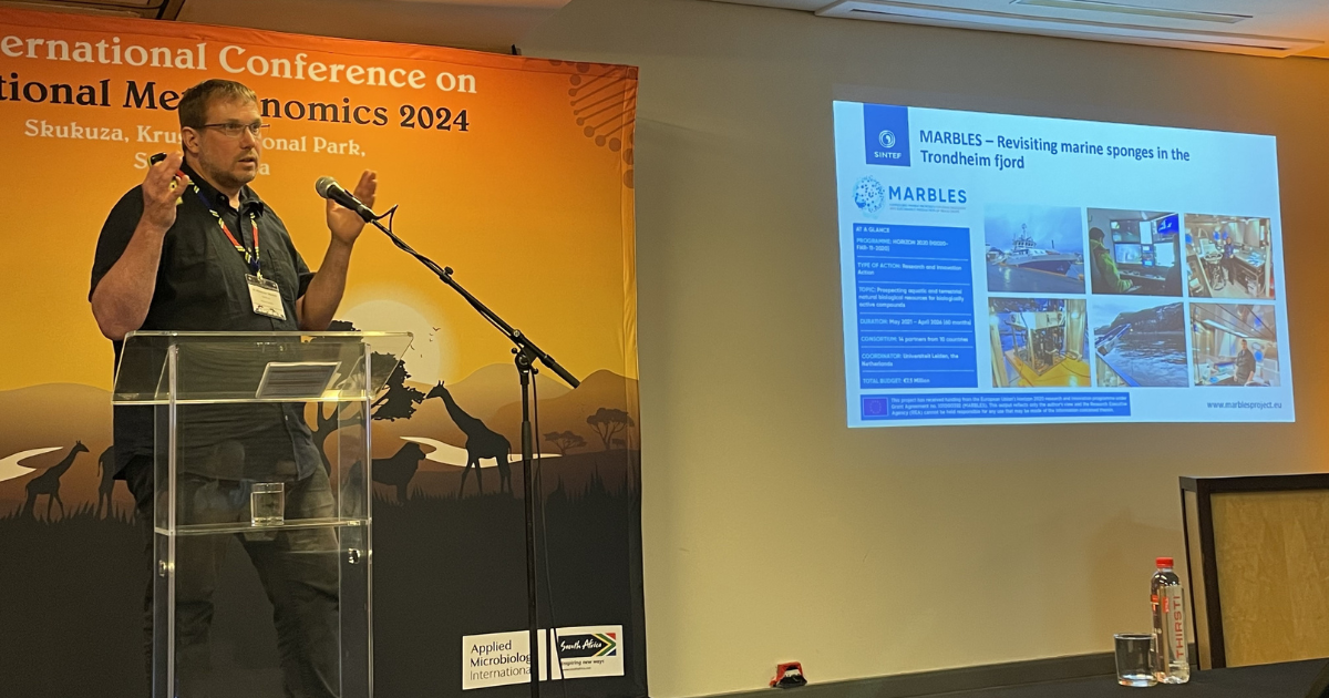 image-25a49c7327f2f72063c27a7b97c25dc92aef911f-1200x630-png