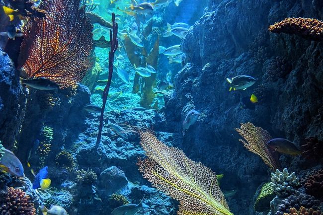 image-39a033ddd2a131c14bedcbfa23364995169b0c6f-2160x3840-jpg