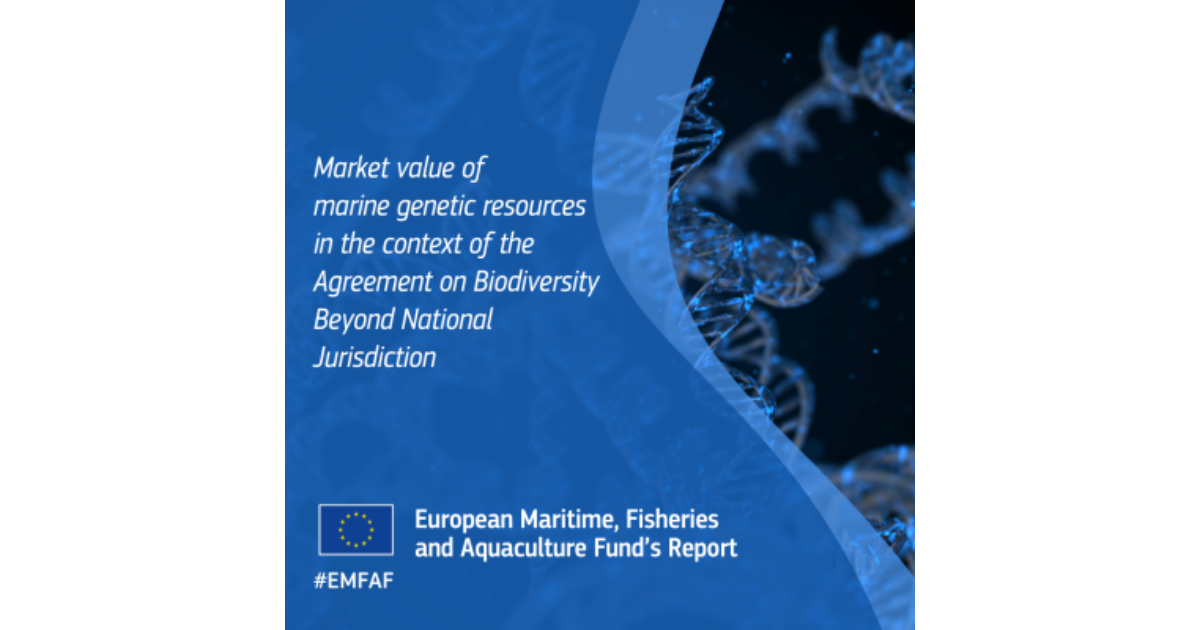 image-40ffb4bd1d9303bebd79d84ad0f3a3595892e205-1200x630-png