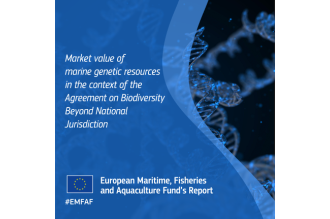 image-40ffb4bd1d9303bebd79d84ad0f3a3595892e205-1200x630-png