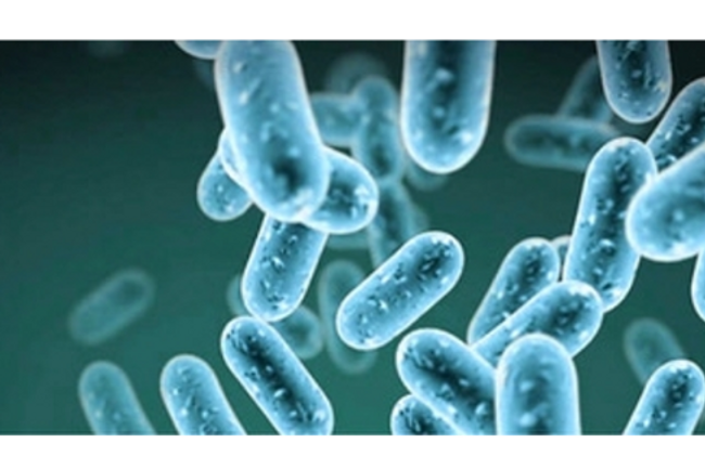 image-42d6b50e025ba159656ba85c4092b91eb9478d70-1200x630-png