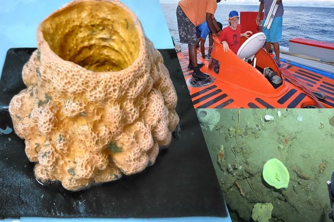 image-482ba10749ea5d793d41e0e49f673ca5b78f936a-688x516-jpg