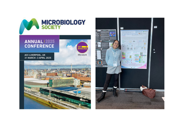 image-57c2b03b168d58db099b847562d6b0865f34306b-1200x630-png