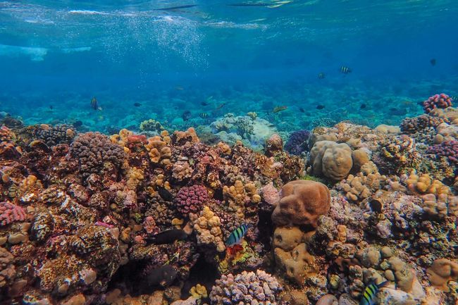 image-5824303fa57862f95670adf5500c87f268054326-4000x3000-jpg