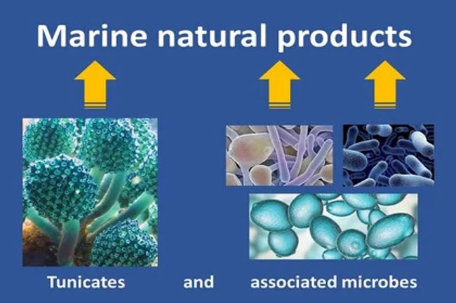 image-5ab7afcced3b7ac2f32f9dffe535aaa958a8d4ad-550x280-webp