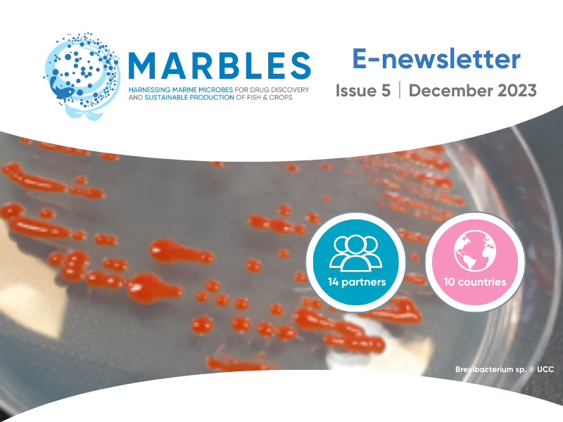 image-63635c6c31b3e0b99ac33caaef28095618c85b7d-800x600-png