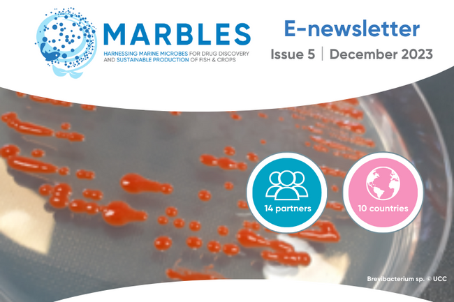 image-63635c6c31b3e0b99ac33caaef28095618c85b7d-800x600-png