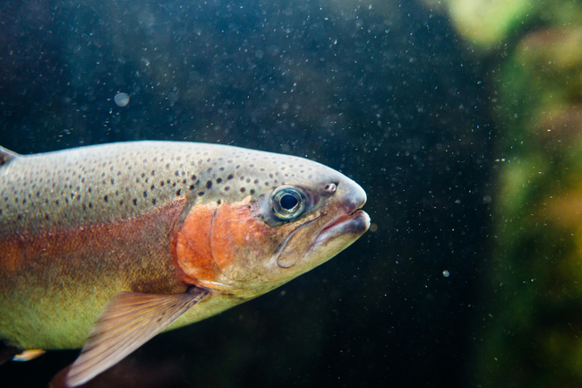 image-7ac26c9f738665e7d9df084732c4c75428f67275-1200x630-png