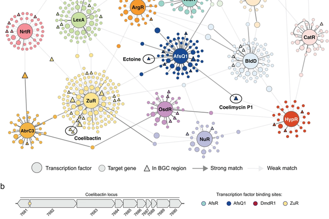 image-82453848abd50f37f3ebd1927e9d17f9646a9878-3600x4216-png