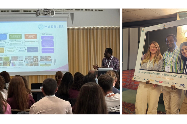 image-85c8748e63ab33141fac5a69ec0155ac927cf636-1200x630-png