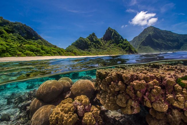 image-8dd933978f624985dcc049c475ae20eaf48e98b2-3551x2450-jpg