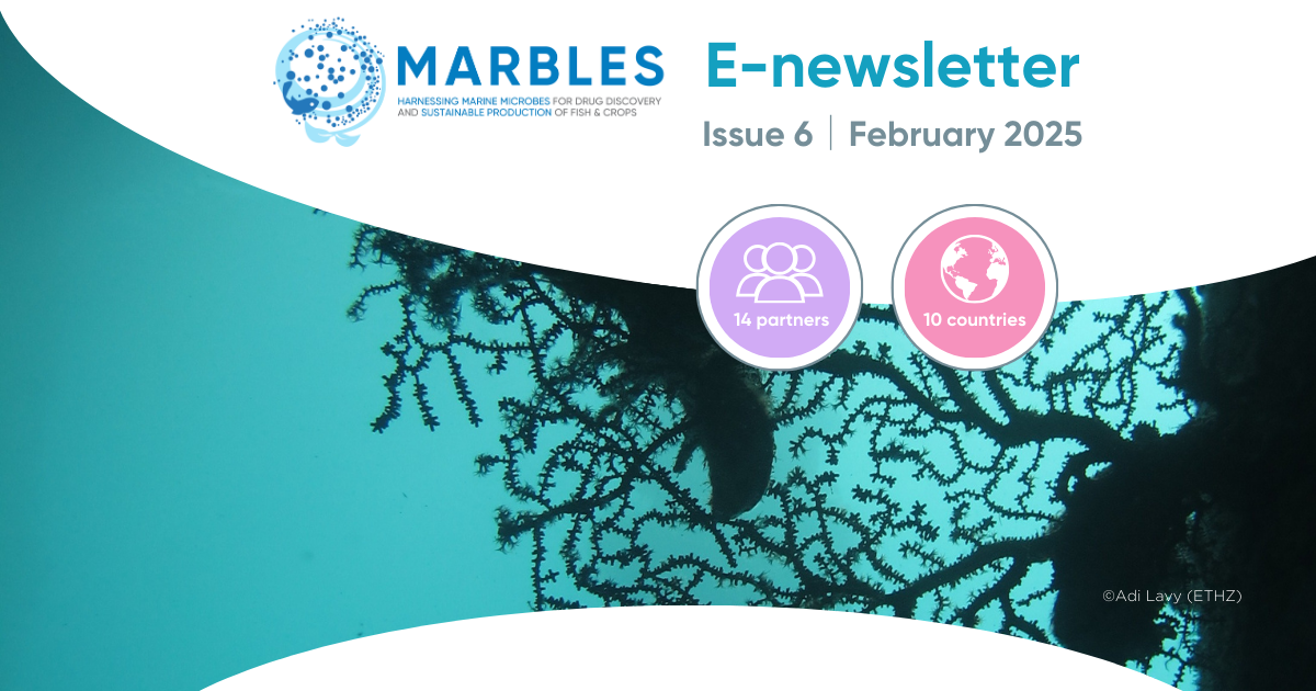 image-90dbb4b6b7a375b27c8287ef41e69fe4aafb1967-1200x630-png