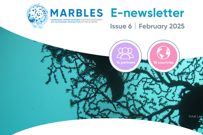 image-90dbb4b6b7a375b27c8287ef41e69fe4aafb1967-1200x630-png