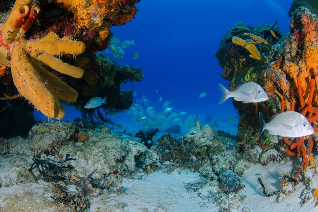 image-94548d126ad80c4a29f29042ca2e60e7a02b8fb1-4360x2888-jpg