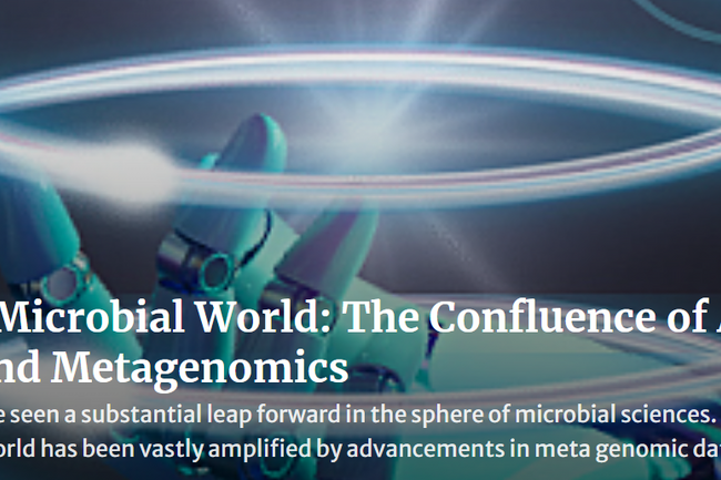 image-9d5e59531591c16f62c80a113f3ca8bcae7666ba-1508x516-png